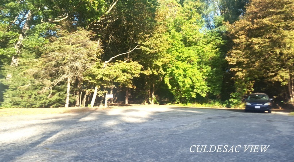 7 Pryor Road Natick, MA 01760 - Photo 23 of 24 a view of outdoor space with trees