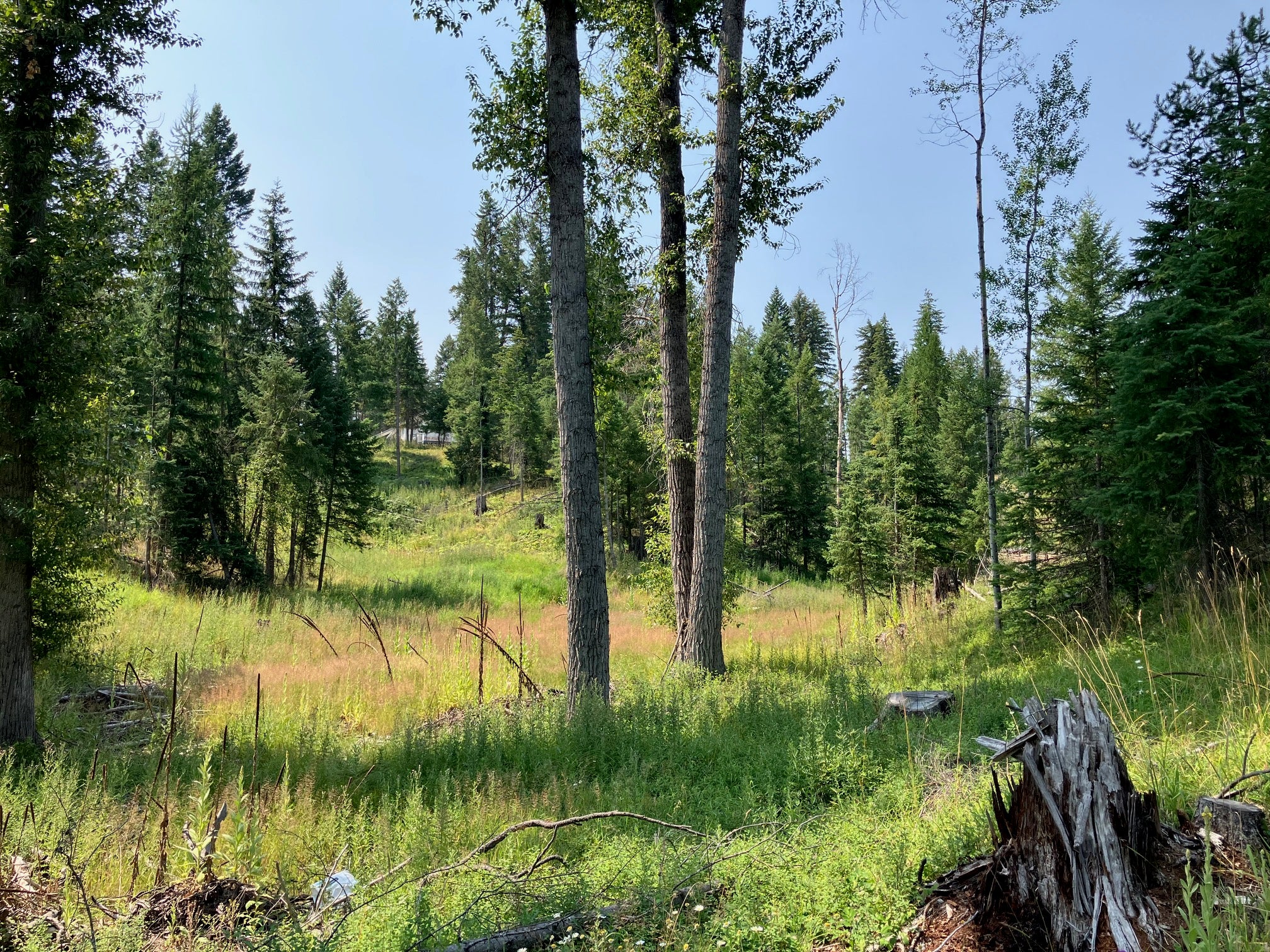 416 Terrace View Road Libby, MT 59923 - Photo 37 of 55 Gallery Image 37