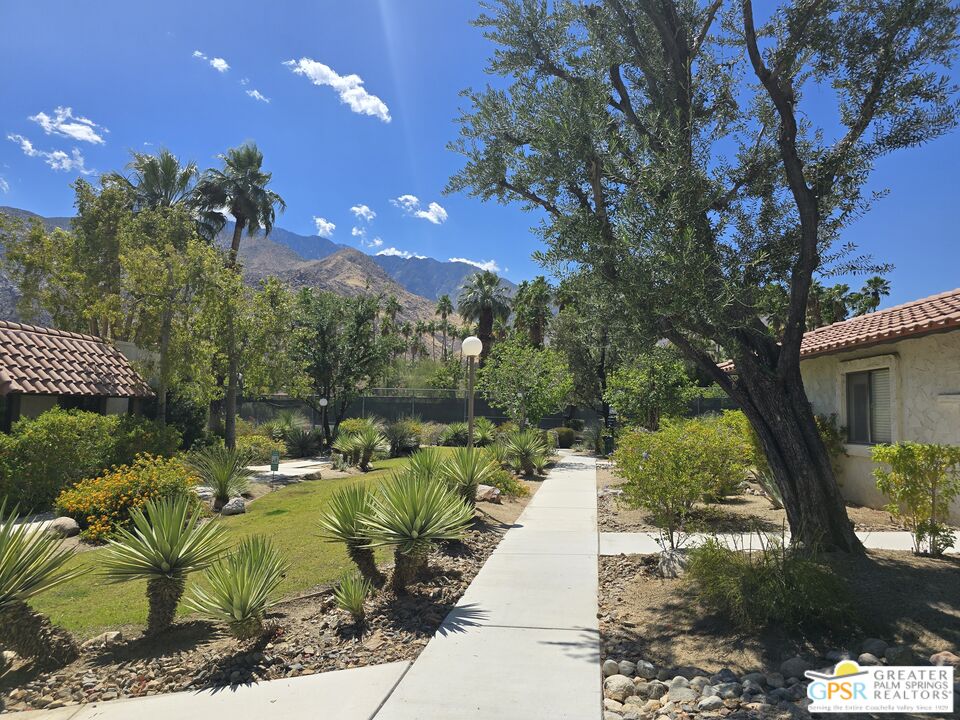 365 West Mariscal Road Palm Springs, CA 92262 - Photo 21 of 25 a view of a swimming pool with a patio and a yard