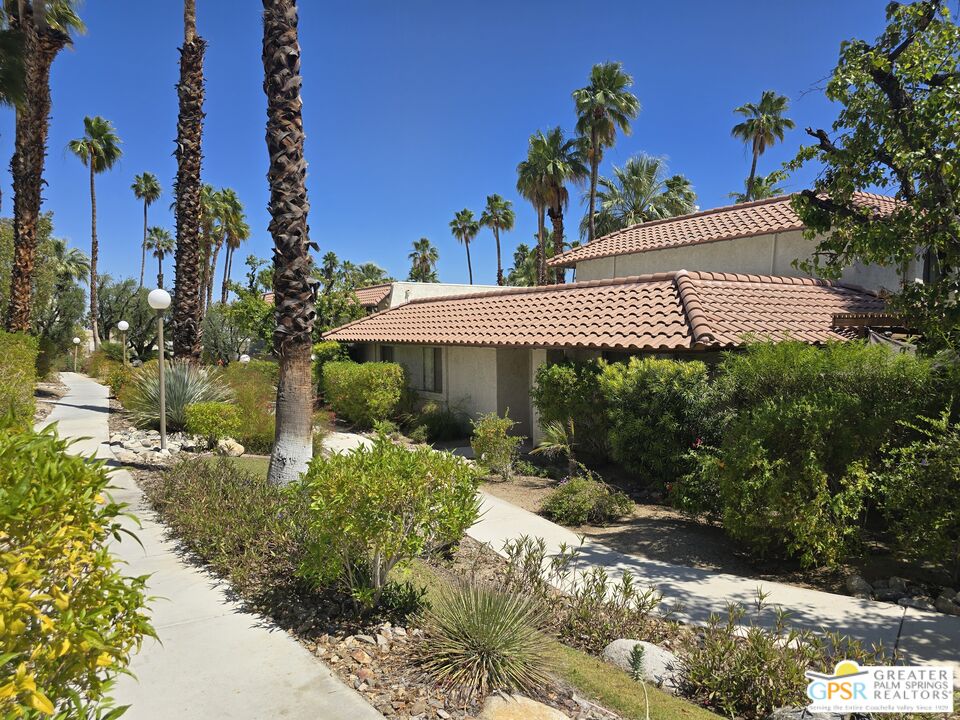 365 West Mariscal Road Palm Springs, CA 92262 - Photo 22 of 25 a view of a house with a yard and potted plants