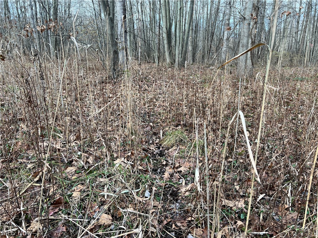 1291 Old Kyle Road Dorset, OH 44032 - Photo 8 of 21