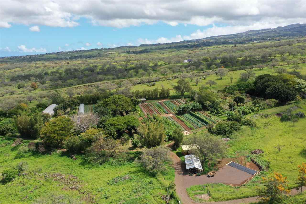 1938 Naalae Road, Unit A Kula, HI 96790 - Photo 14 of 16 an aerial view of residential houses with outdoor space and trees