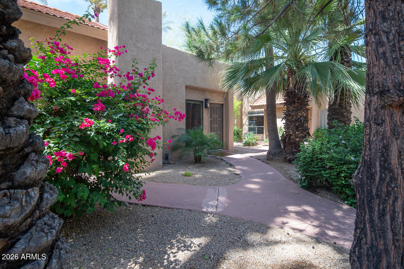 4540 North 44th Street, Unit 50 Phoenix, AZ 85018 - Photo 22 of 31 a view of a house with a backyard and garden