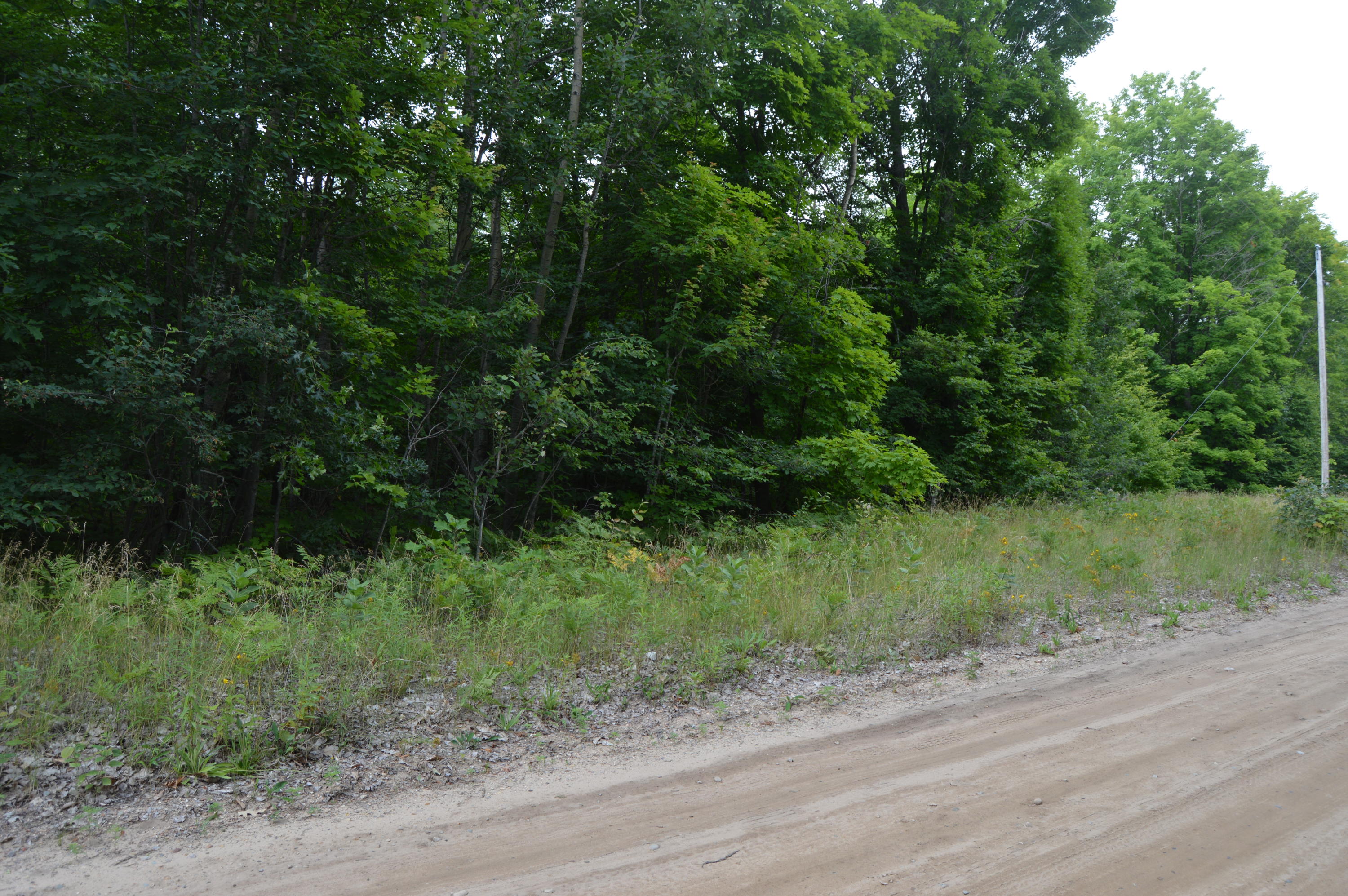 Xxx Adams Road Wolverine, MI 49799 - Photo 2 of 12 Gallery Image 2