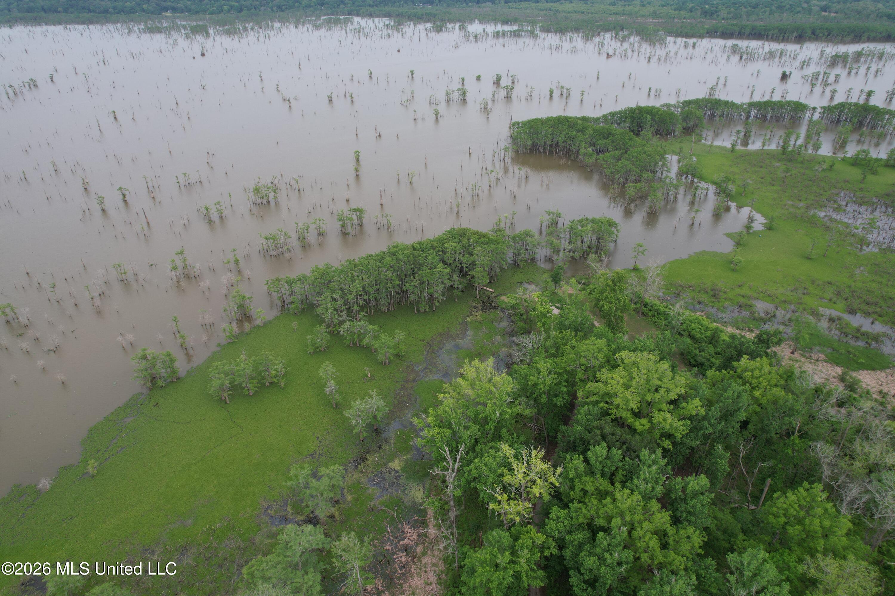 Lake Mary Road Woodville, MS 39669 - Photo 17 of 39 DJI_0977