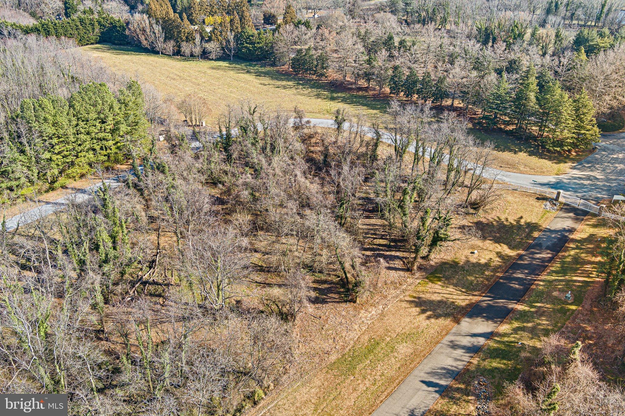 2 Sassafras Cove Road Galena, MD 21635 - Photo 10 of 16 a view of a yard with trees