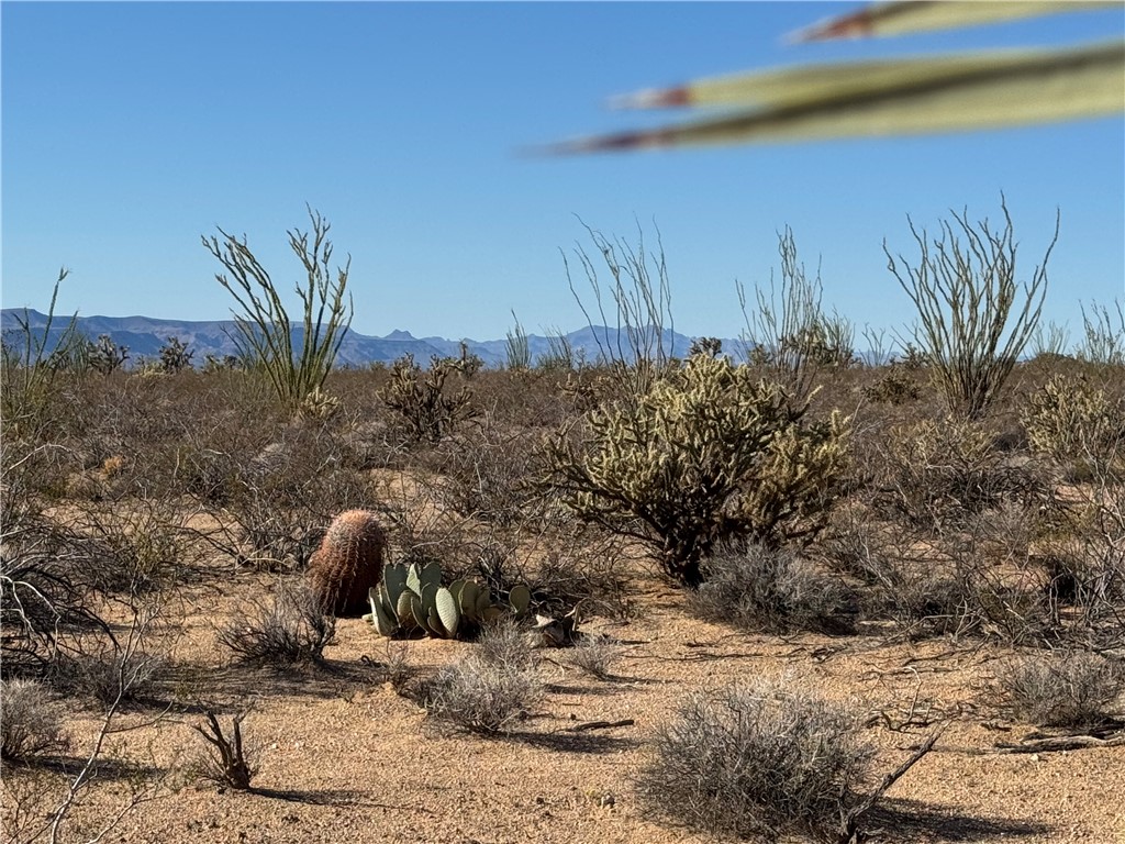 242-12-013 South Sundance Kid Road Yucca, AZ 86438 - Photo 6 of 17