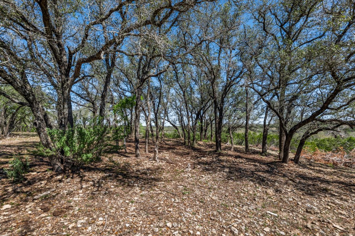 25723 Hamilton Pool Road Round Mountain, TX 78663 - Photo 11 of 32 Many oaks