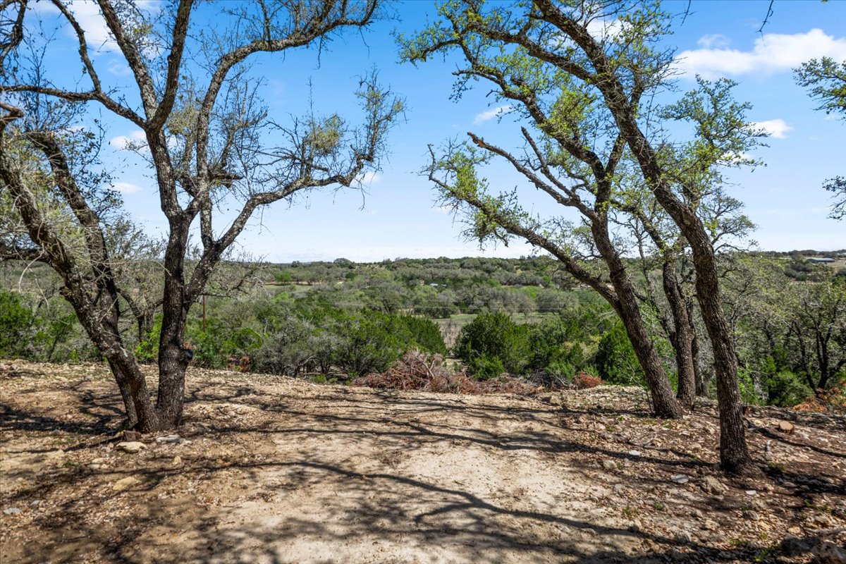 25723 Hamilton Pool Road Round Mountain, TX 78663 - Photo 12 of 32 View through the trees