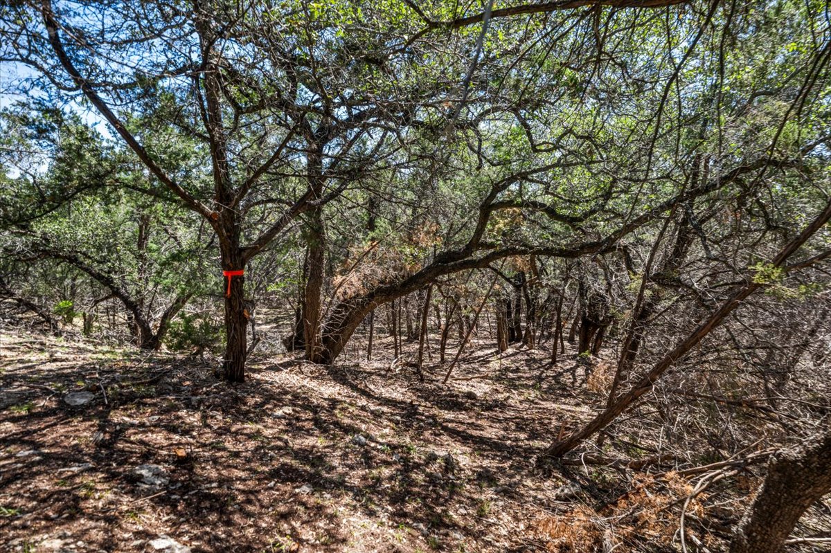 25723 Hamilton Pool Road Round Mountain, TX 78663 - Photo 14 of 32 Lots of trails throughout the property