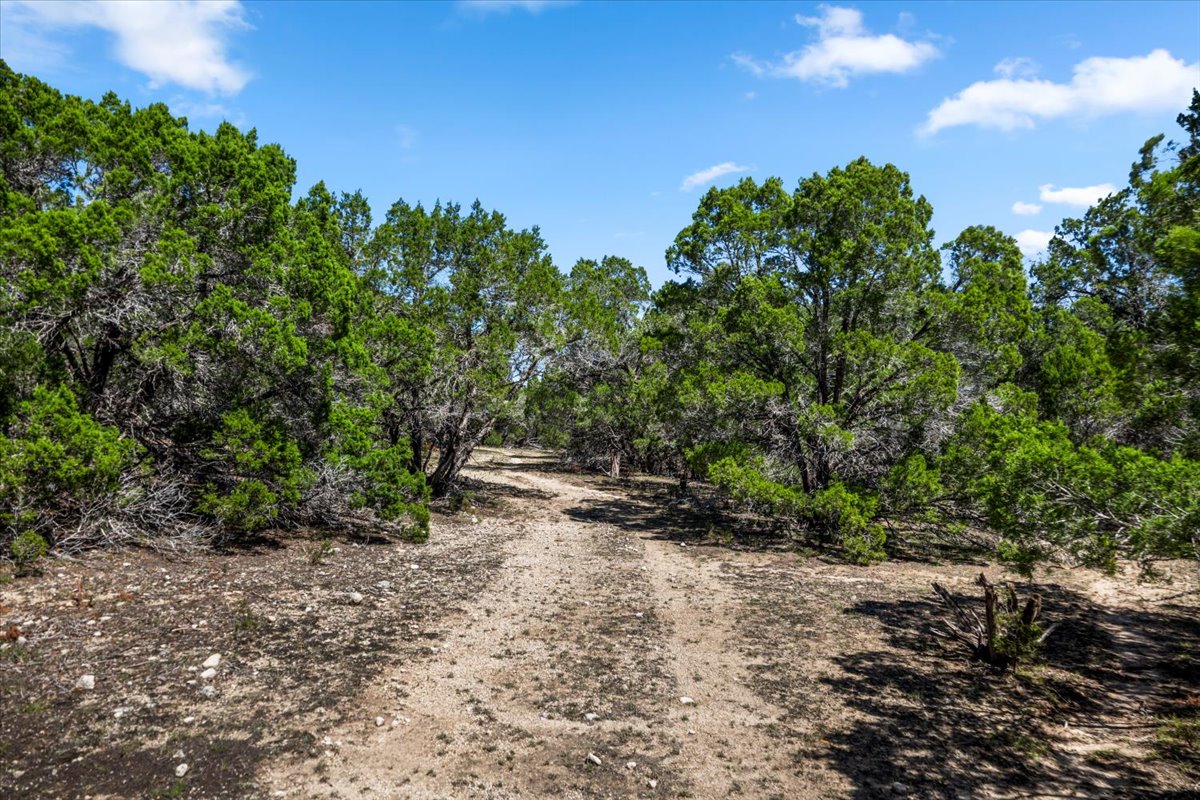 25723 Hamilton Pool Road Round Mountain, TX 78663 - Photo 26 of 32 Drive up the hill to the views