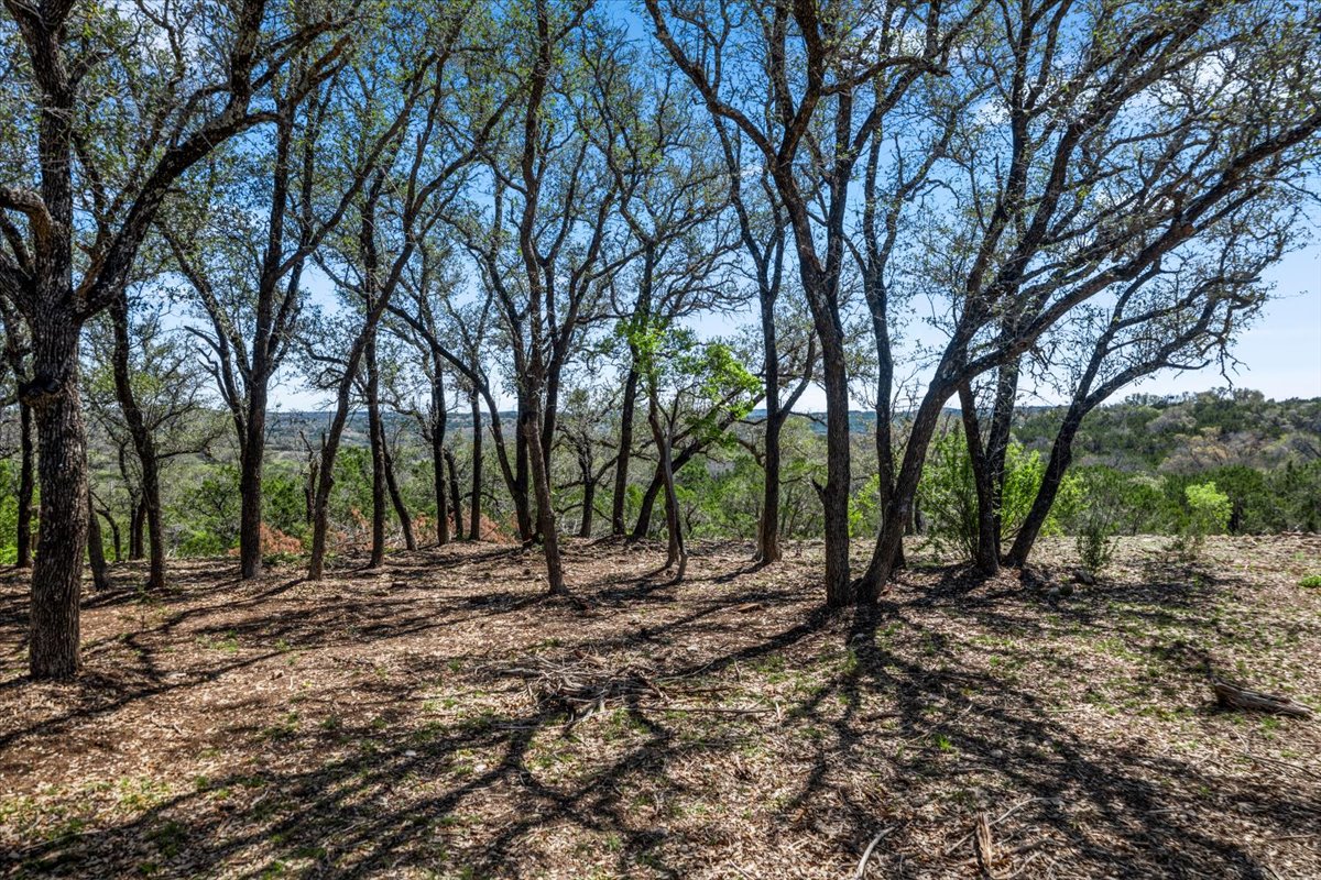 25723 Hamilton Pool Road Round Mountain, TX 78663 - Photo 27 of 32 View