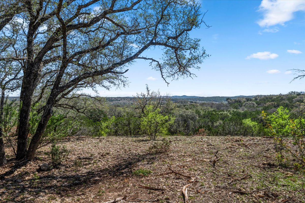 Continued Views