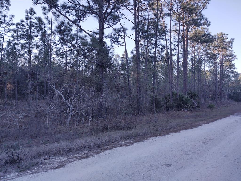 Tbd Southwest 127th Ave Road Ocala, FL 34481 - Photo 7 of 13 Gallery Image 7