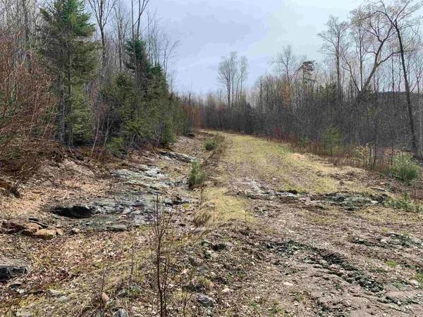 $290,000 | Lot 22.4 Washburn Road, North Stratford, NH 03590