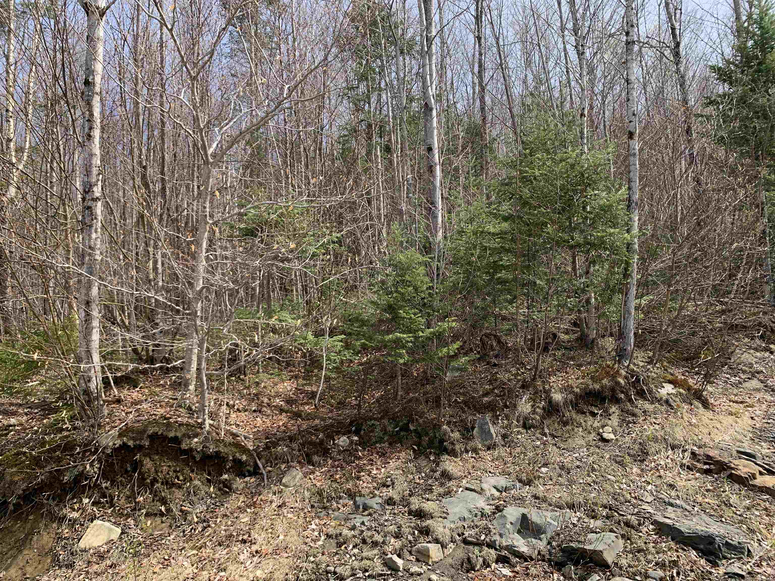 Lot 22.4 Washburn Road North Stratford, NH 03590 - Photo 3 of 3