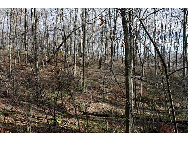 Lot 9 West Cruikshank Road Butler, PA 16002 - Photo 4 of 8 Exterior Front. Hillside view. Mature timber.
