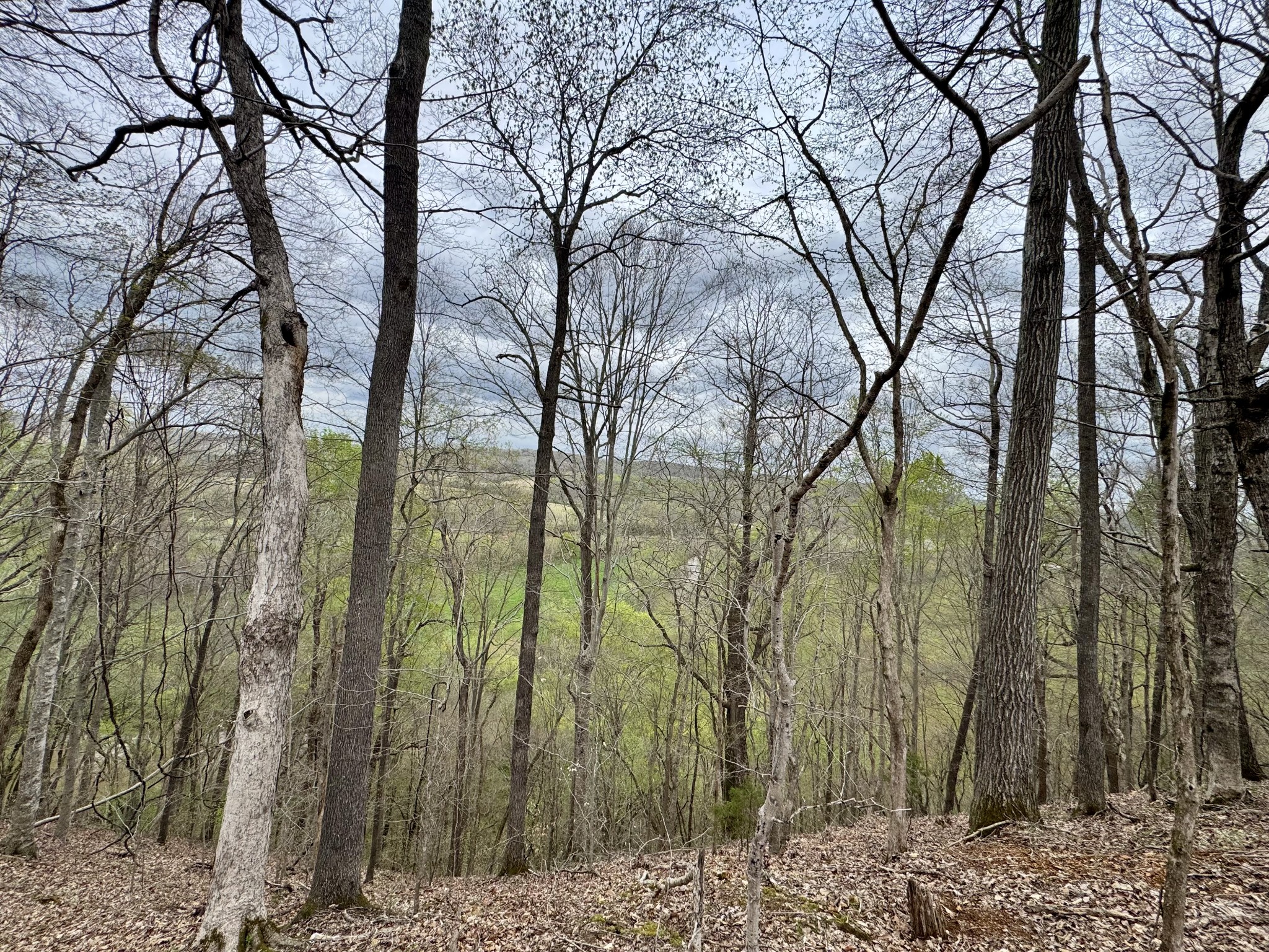 0 Mason Bates Bend Road Centerville, TN 37033 - Photo 1 of 50 Gallery Image 1