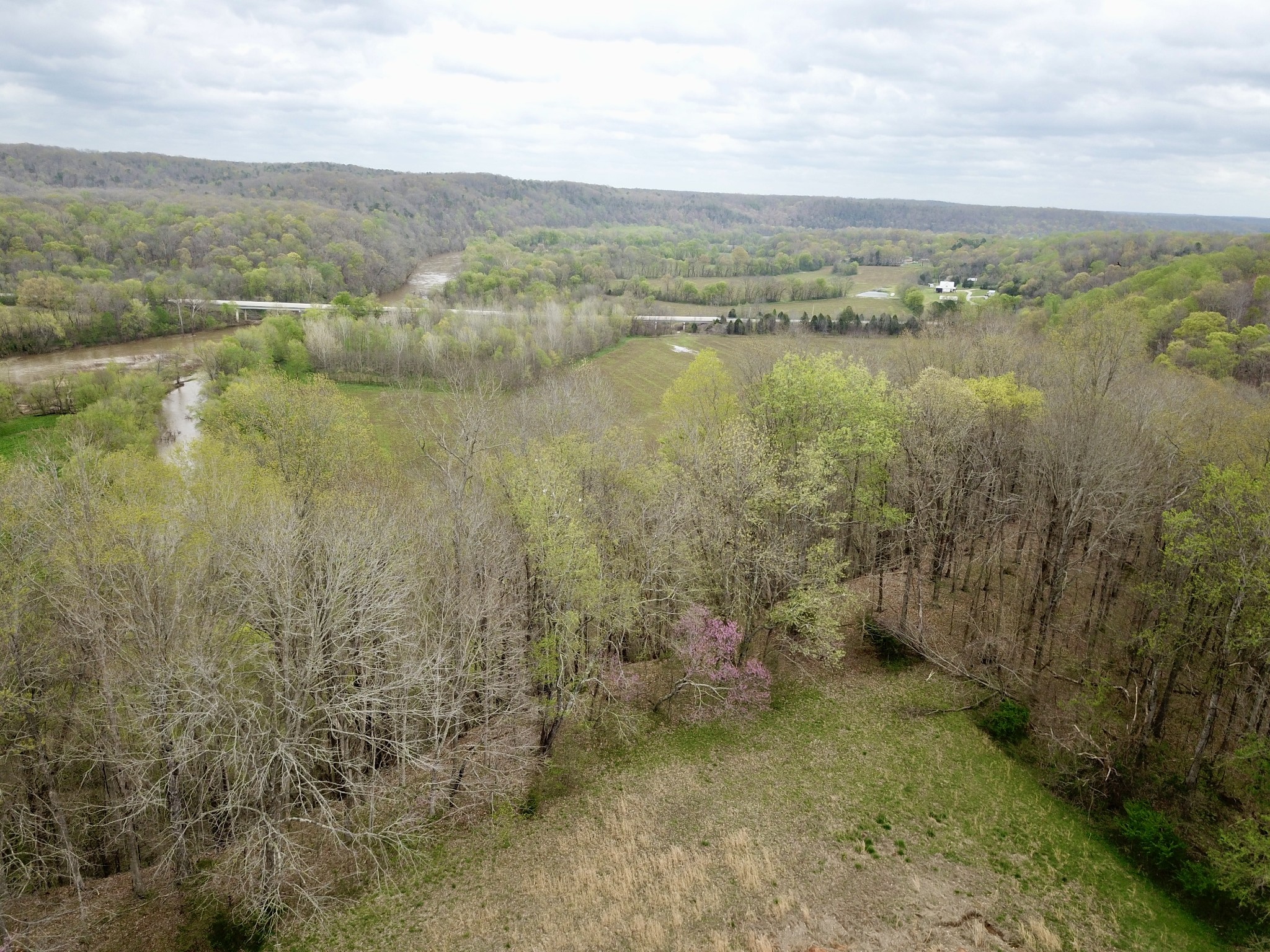 0 Mason Bates Bend Road Centerville, TN 37033 - Photo 19 of 50 Gallery Image 19