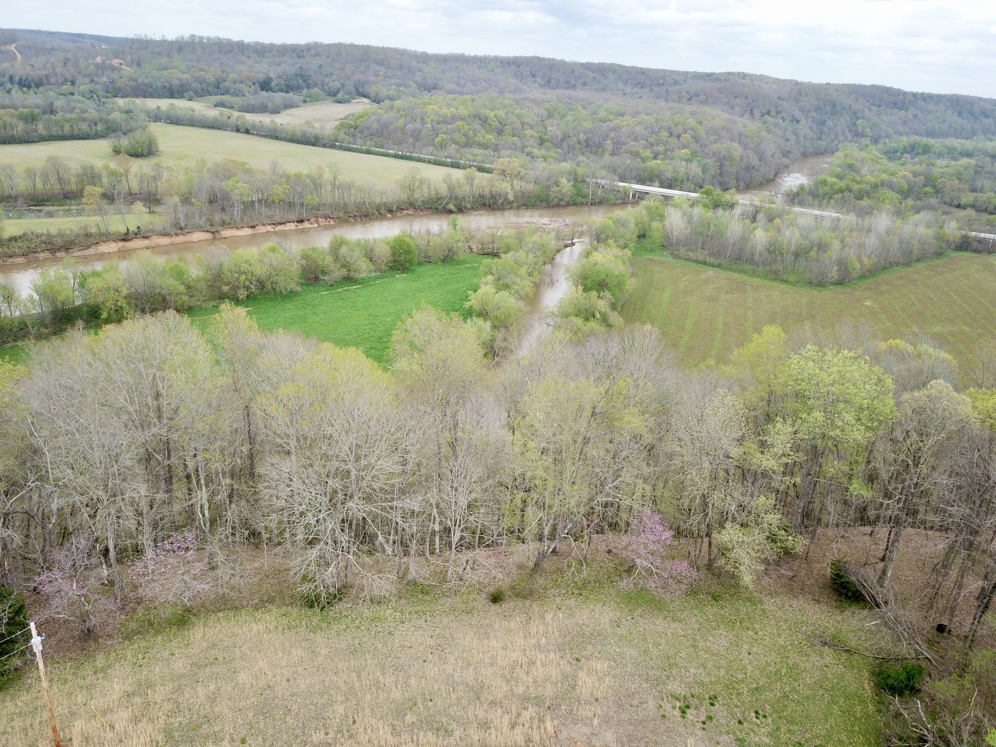 0 Mason Bates Bend Road Centerville, TN 37033 - Photo 2 of 50 Gallery Image 2