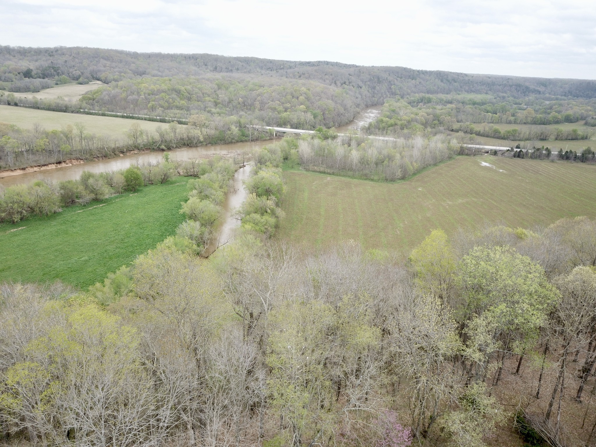 0 Mason Bates Bend Road Centerville, TN 37033 - Photo 21 of 50 Gallery Image 21