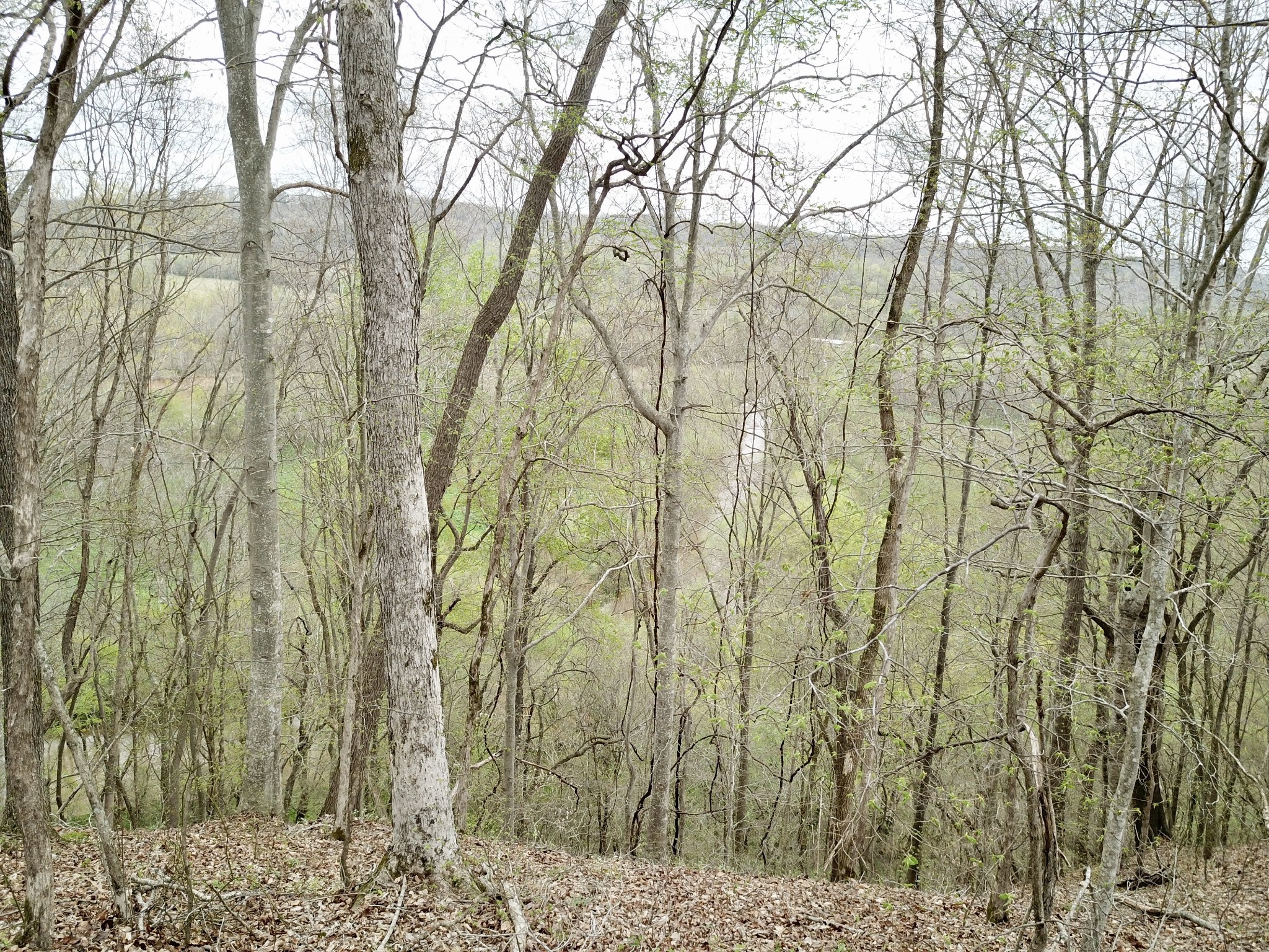 0 Mason Bates Bend Road Centerville, TN 37033 - Photo 23 of 50 Gallery Image 23