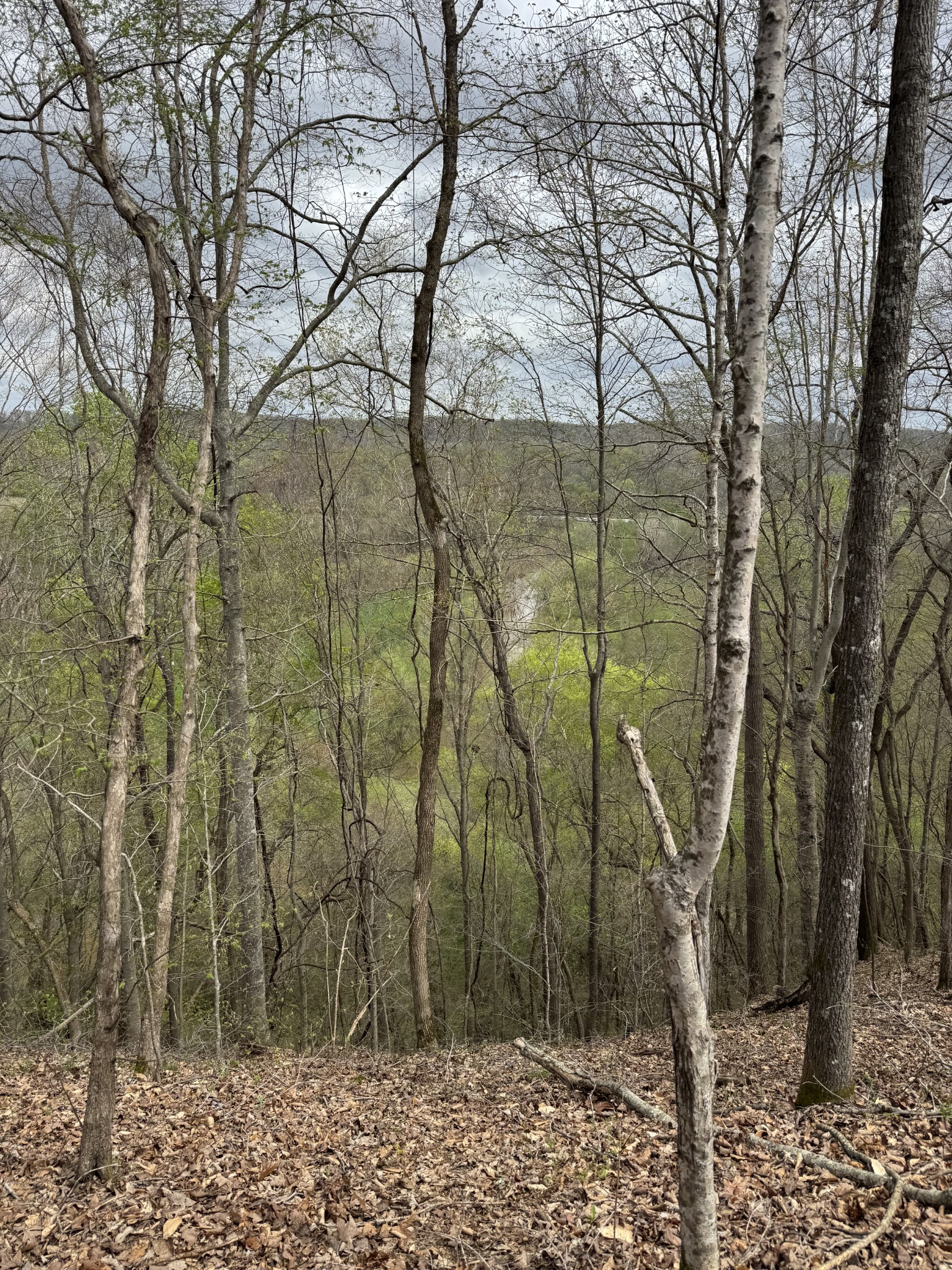 0 Mason Bates Bend Road Centerville, TN 37033 - Photo 28 of 50 Gallery Image 28