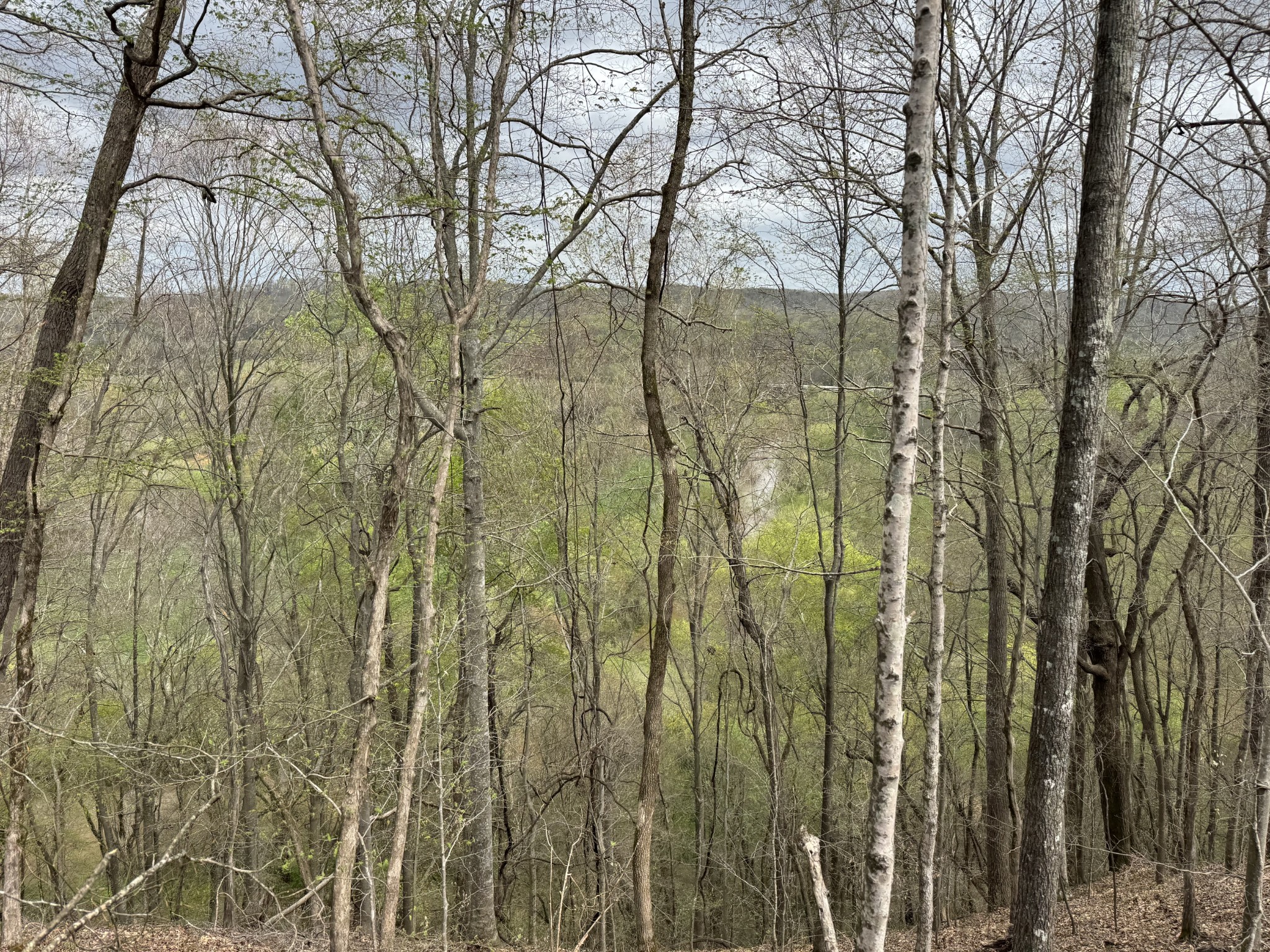 0 Mason Bates Bend Road Centerville, TN 37033 - Photo 29 of 50 Gallery Image 29