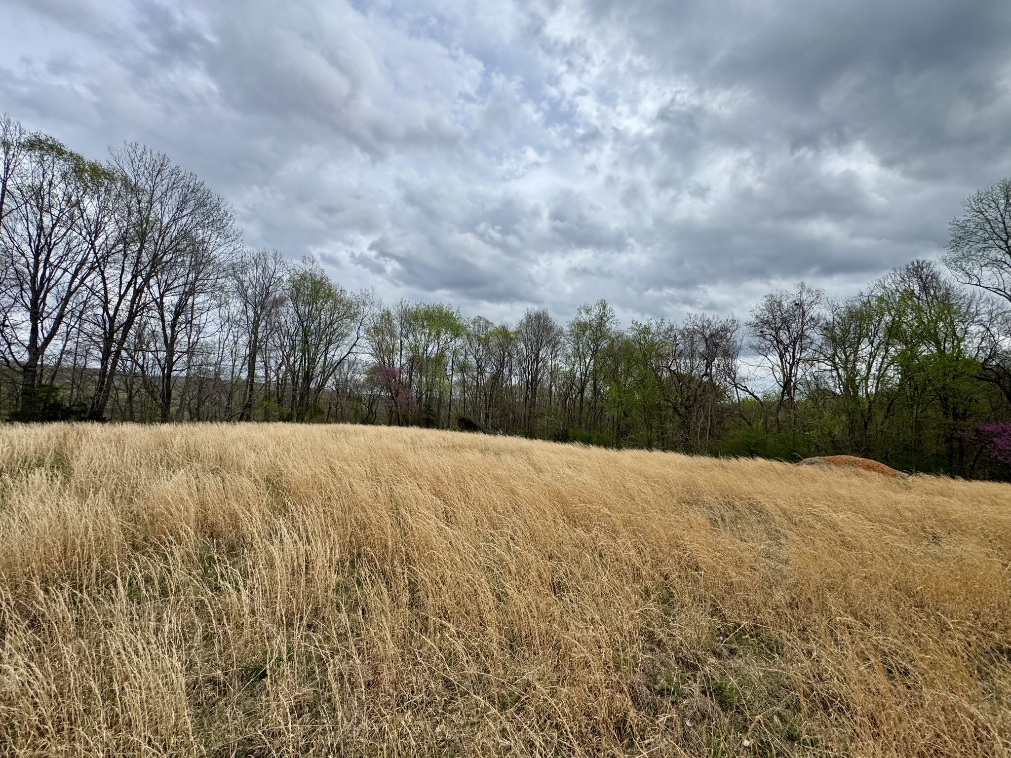 0 Mason Bates Bend Road Centerville, TN 37033 - Photo 31 of 50 Gallery Image 31