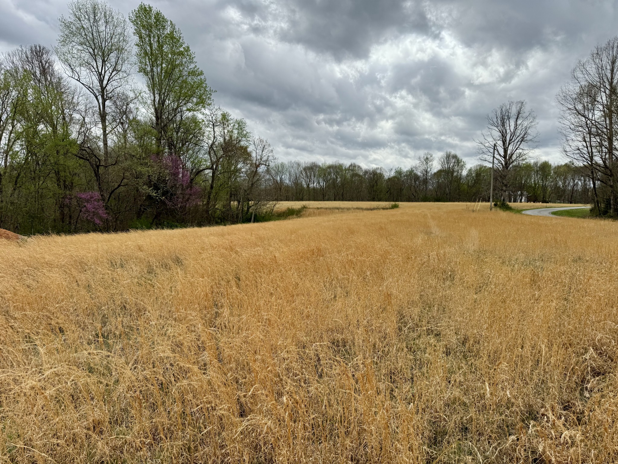 0 Mason Bates Bend Road Centerville, TN 37033 - Photo 36 of 50 Gallery Image 36