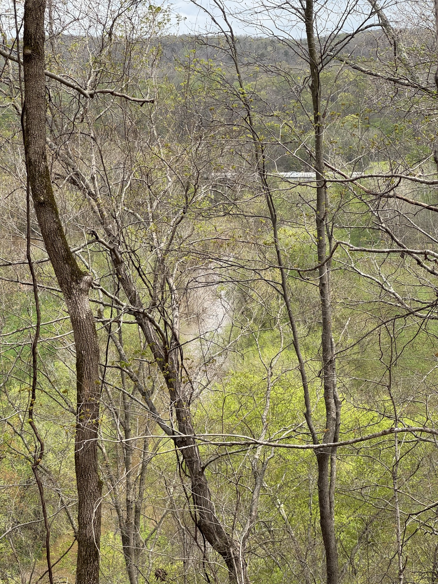 0 Mason Bates Bend Road Centerville, TN 37033 - Photo 37 of 50 Gallery Image 37