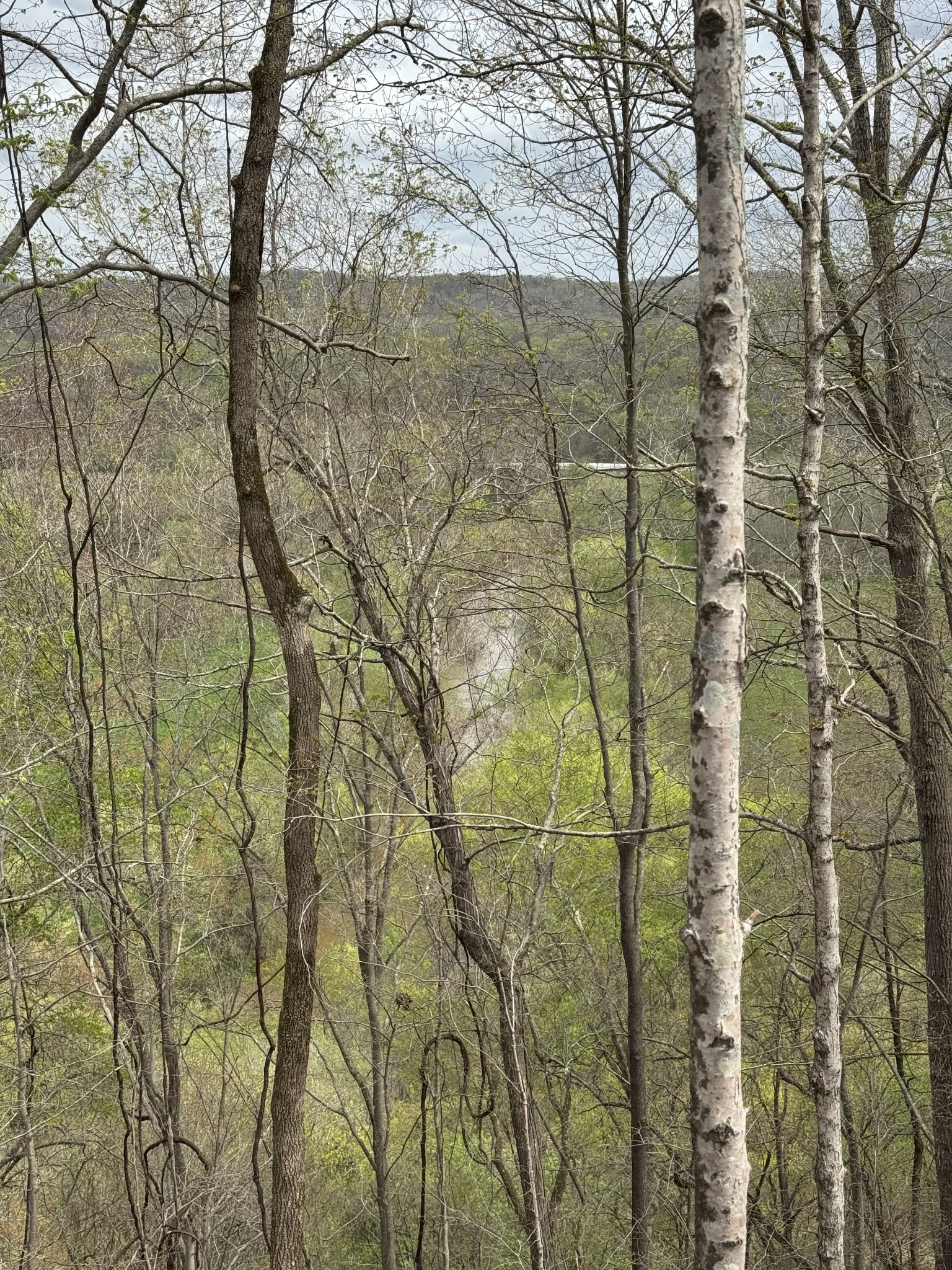 0 Mason Bates Bend Road Centerville, TN 37033 - Photo 38 of 50 Gallery Image 38