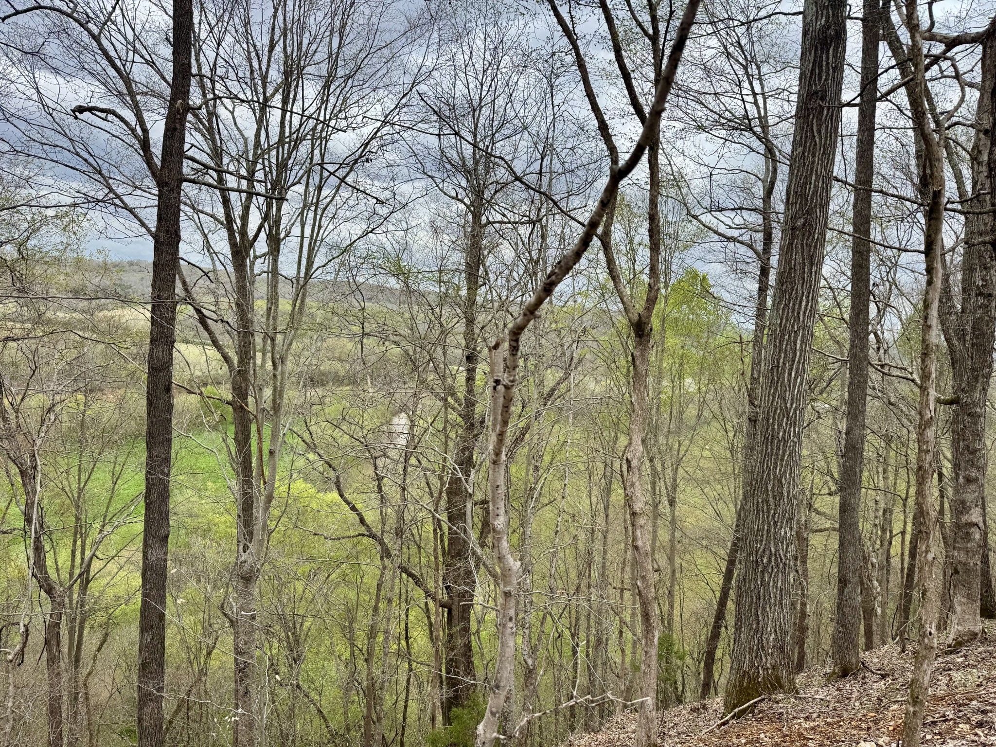 0 Mason Bates Bend Road Centerville, TN 37033 - Photo 39 of 50 Gallery Image 39