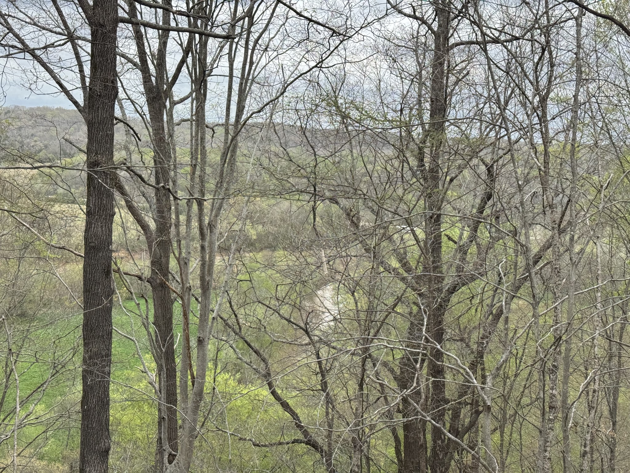 0 Mason Bates Bend Road Centerville, TN 37033 - Photo 40 of 50 Gallery Image 40