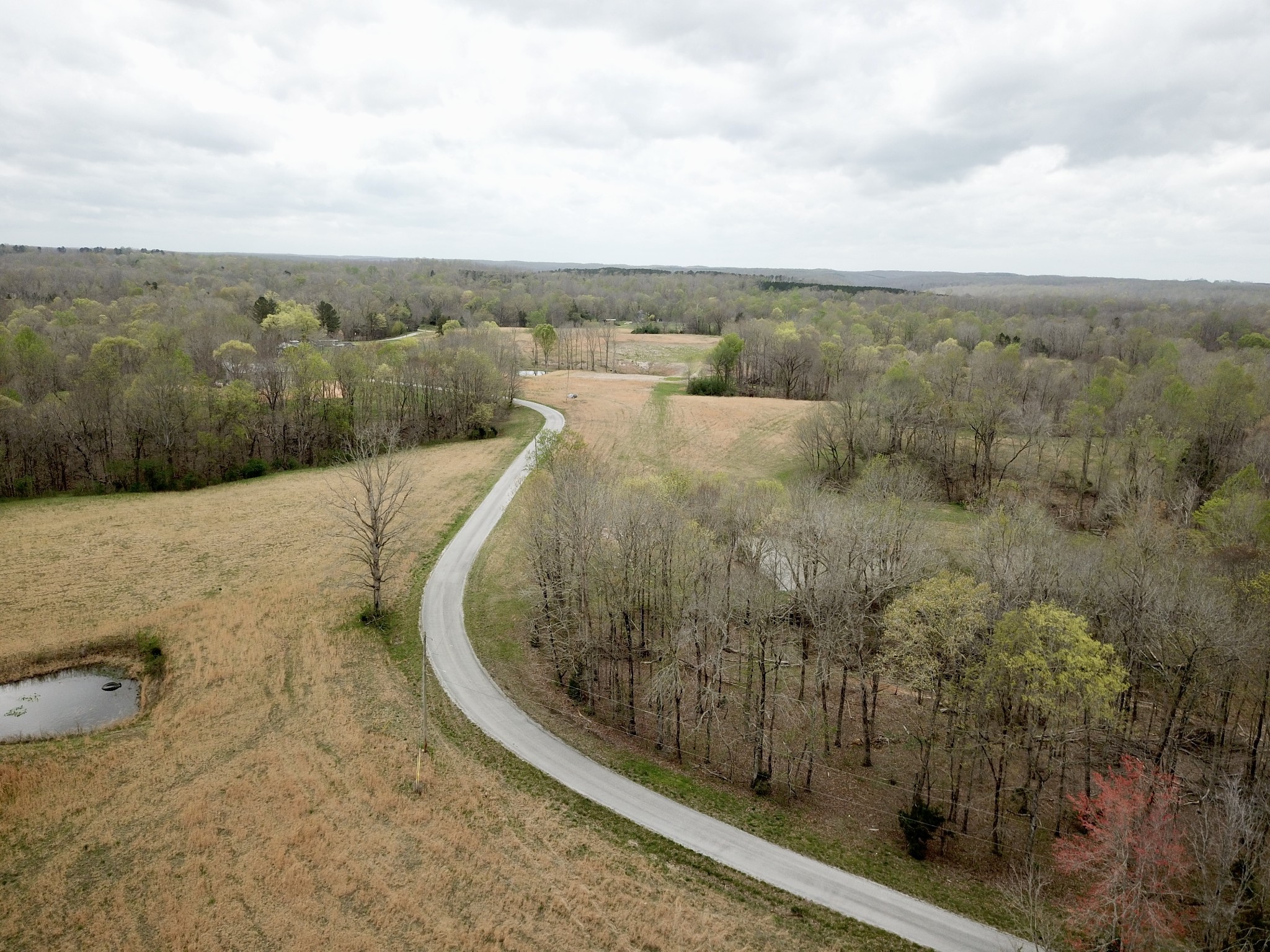 0 Mason Bates Bend Road Centerville, TN 37033 - Photo 4 of 50 Gallery Image 4