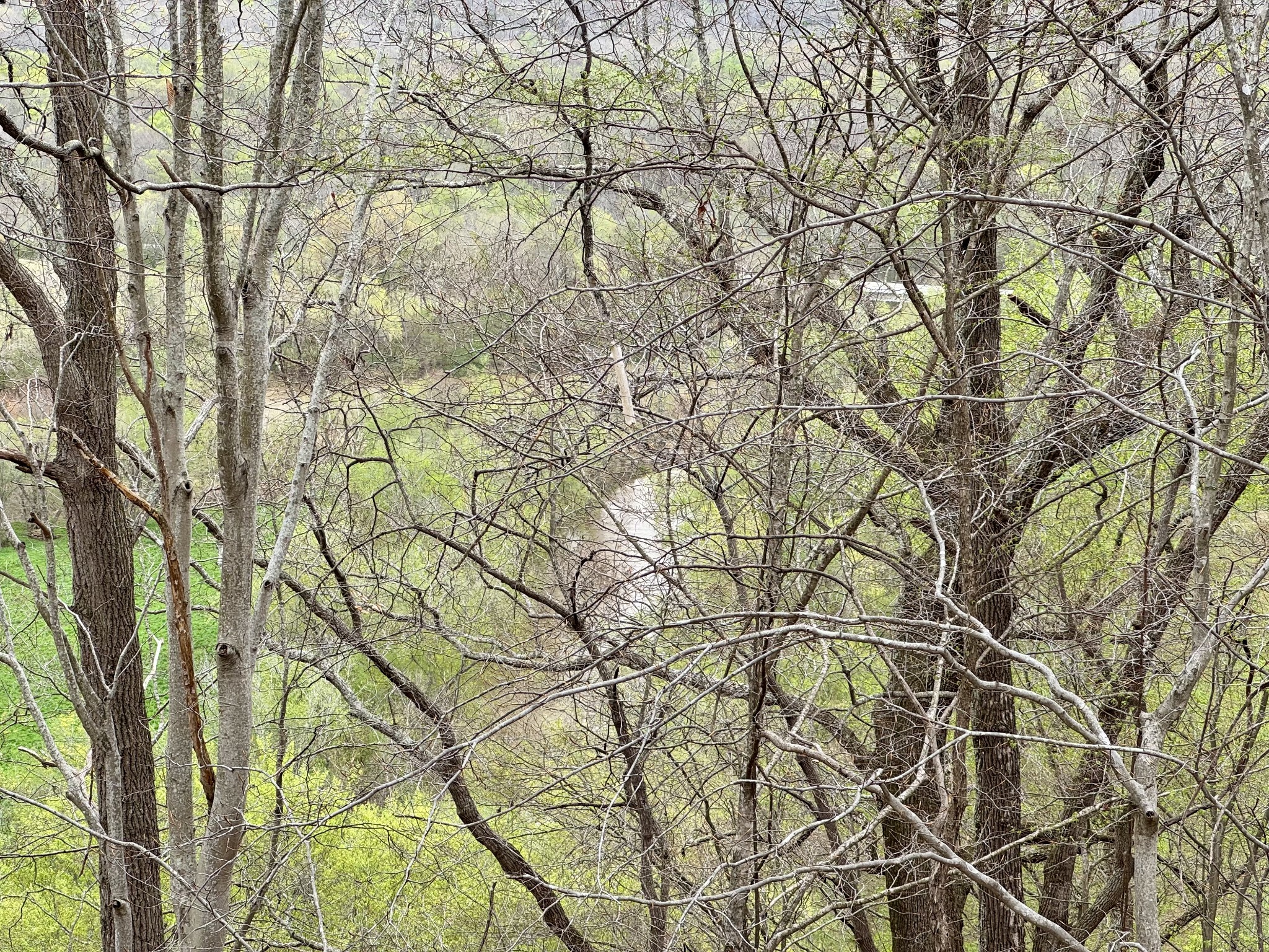 0 Mason Bates Bend Road Centerville, TN 37033 - Photo 41 of 50 Gallery Image 41