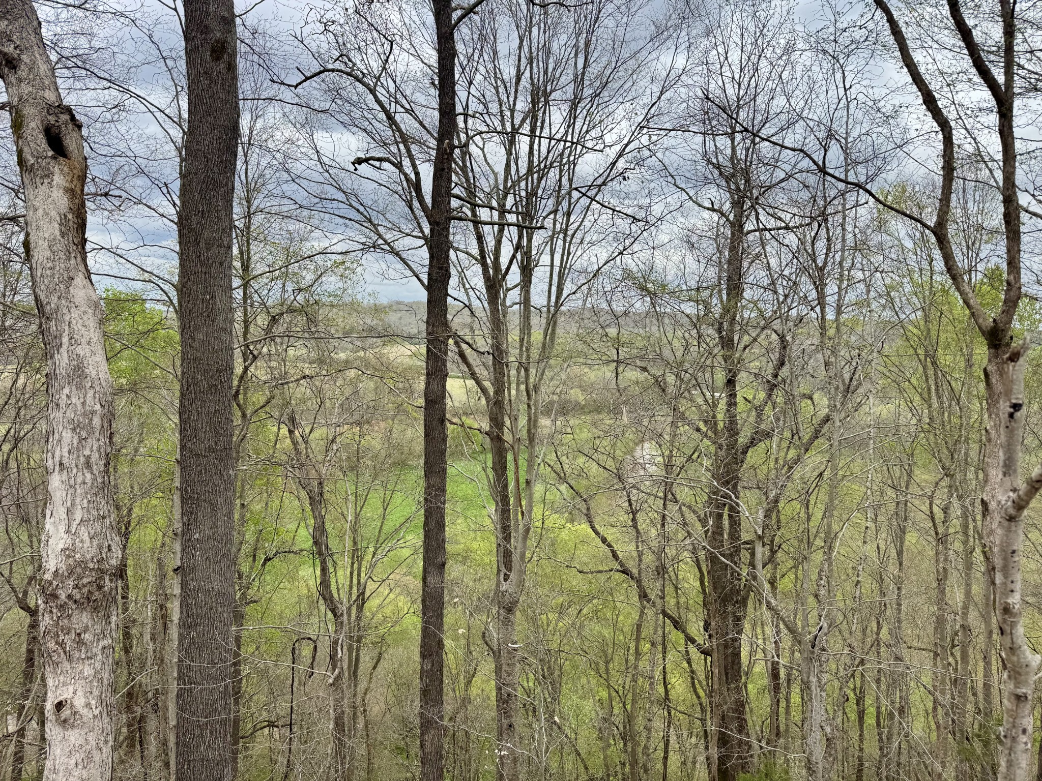 0 Mason Bates Bend Road Centerville, TN 37033 - Photo 42 of 50 Gallery Image 42