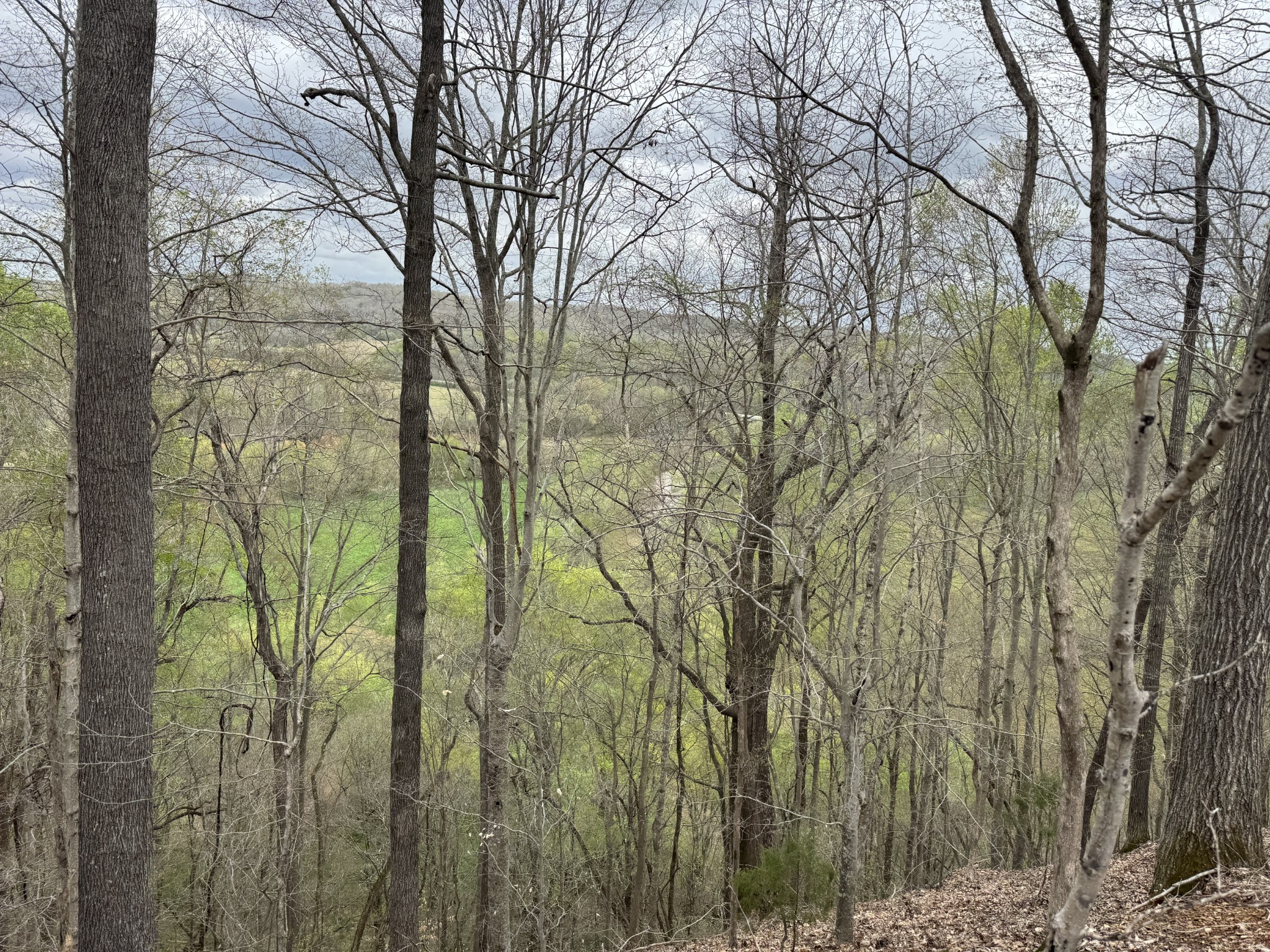 0 Mason Bates Bend Road Centerville, TN 37033 - Photo 43 of 50 Gallery Image 43