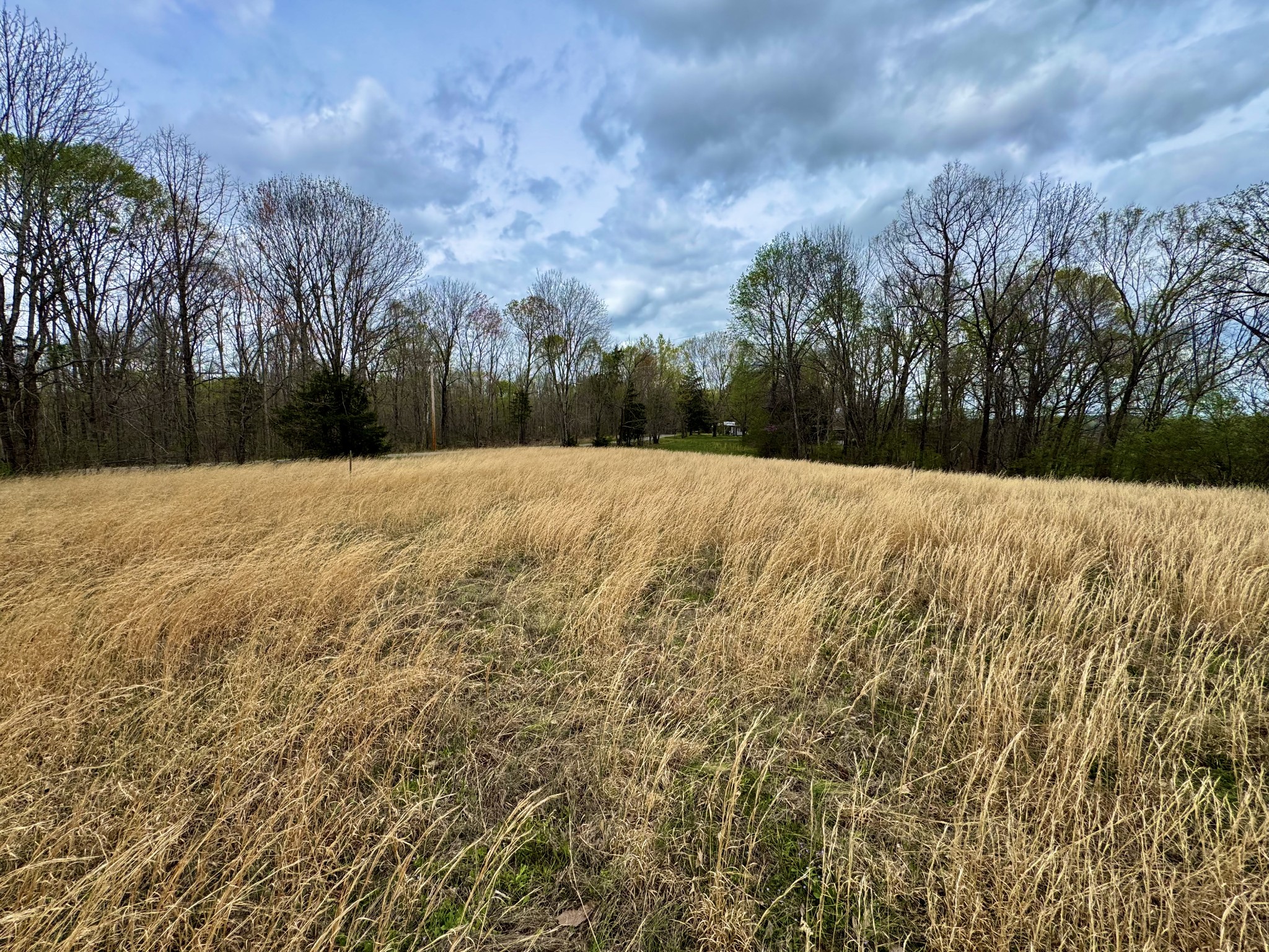 0 Mason Bates Bend Road Centerville, TN 37033 - Photo 44 of 50 Gallery Image 44