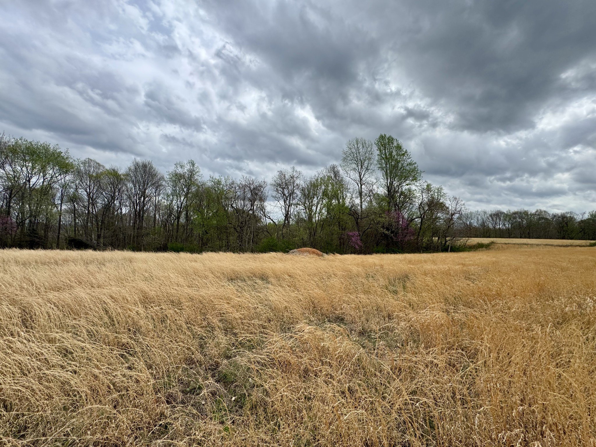 0 Mason Bates Bend Road Centerville, TN 37033 - Photo 45 of 50 Gallery Image 45