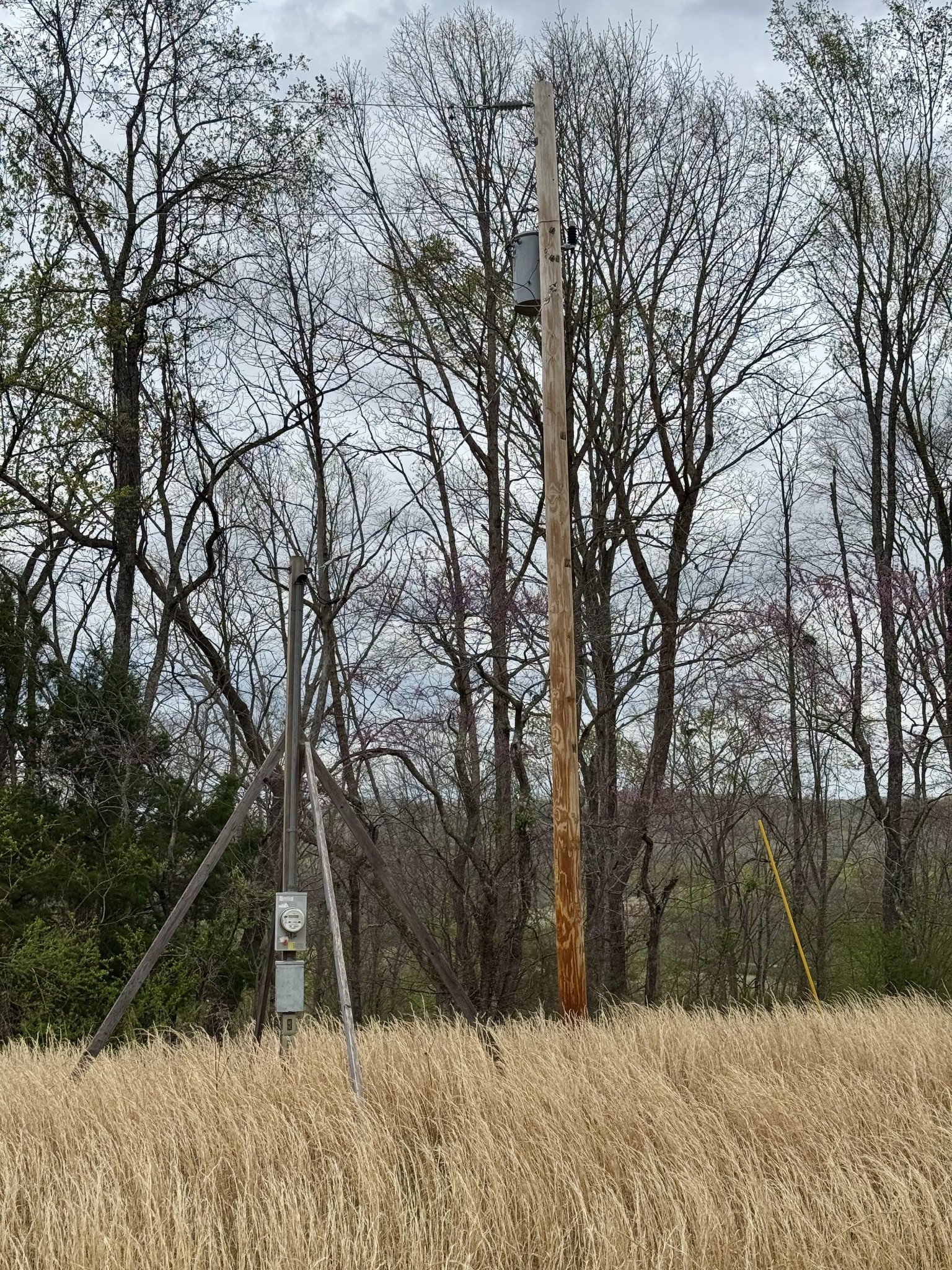 0 Mason Bates Bend Road Centerville, TN 37033 - Photo 46 of 50 Gallery Image 46