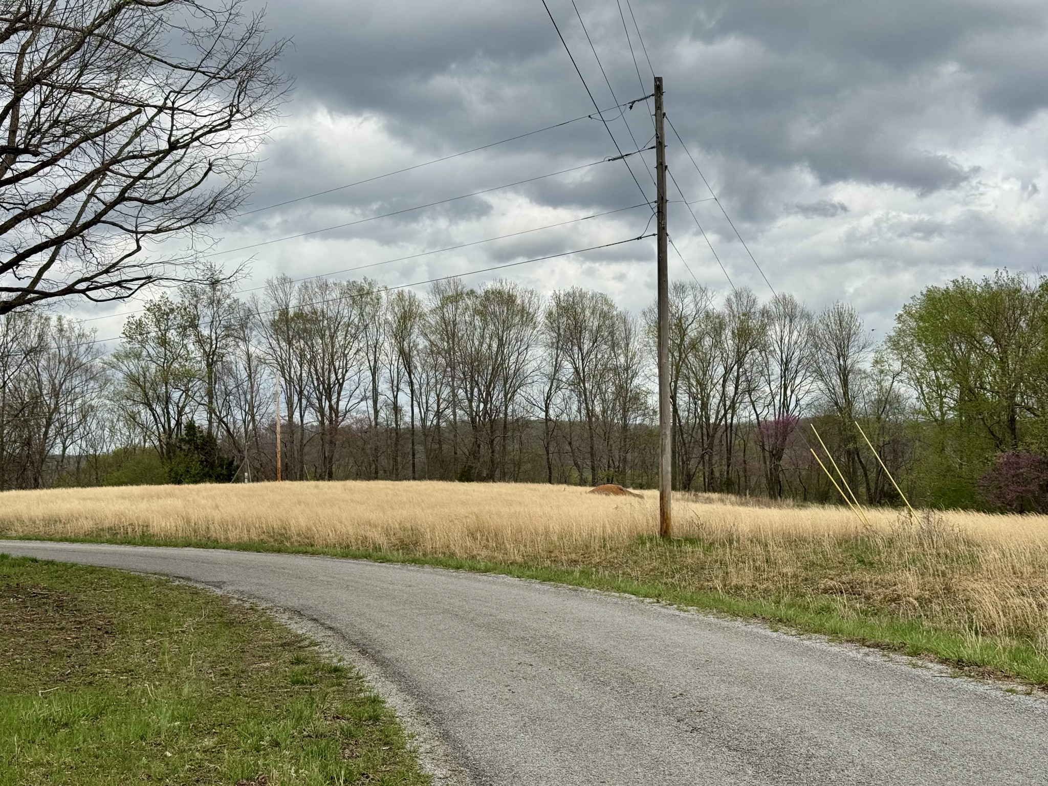0 Mason Bates Bend Road Centerville, TN 37033 - Photo 47 of 50 Gallery Image 47