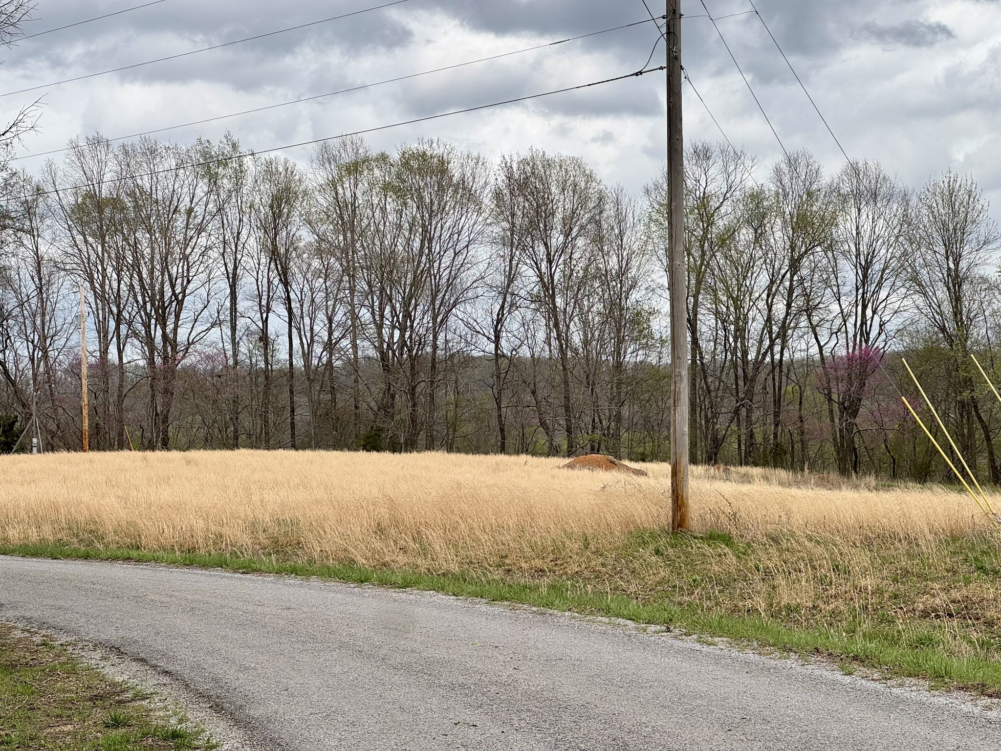 0 Mason Bates Bend Road Centerville, TN 37033 - Photo 50 of 50 Gallery Image 50