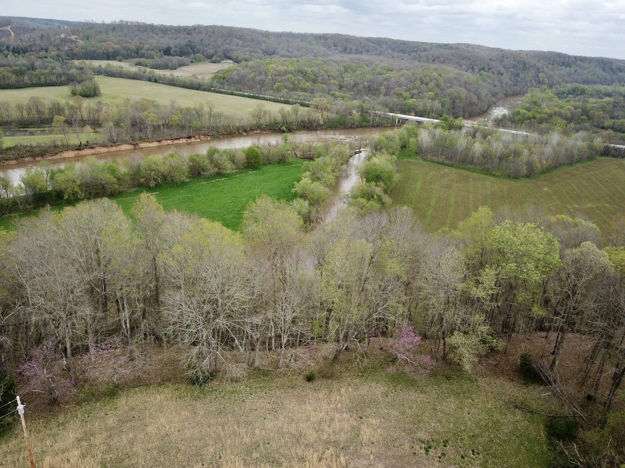 0 Mason Bates Bend Road Centerville, TN 37033 - Photo 9 of 50 Gallery Image 9