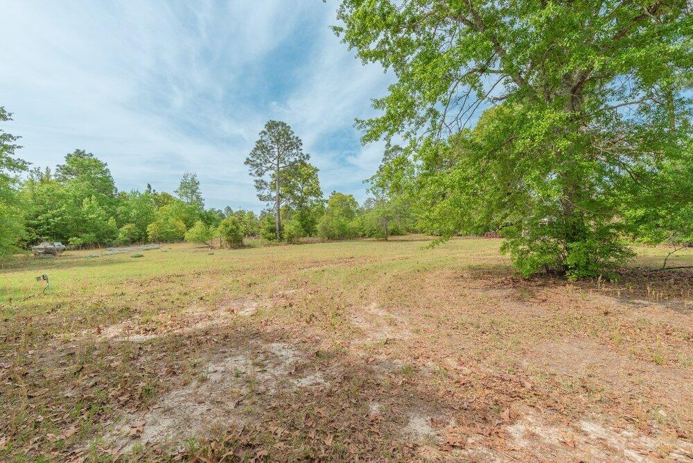 335 Cedar Road Windsor, SC 29856 - Photo 22 of 22