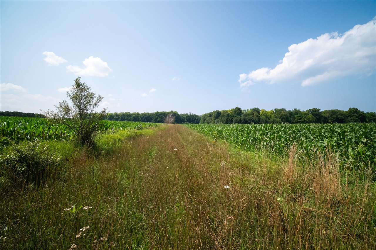 Milarch Road Bear Lake, MI 49614 - Photo 24 of 57