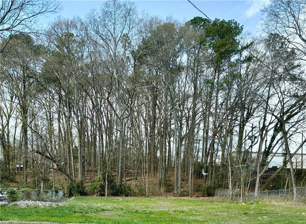 4487 Maple Drive Acworth, GA 30101 - Photo 2 of 3