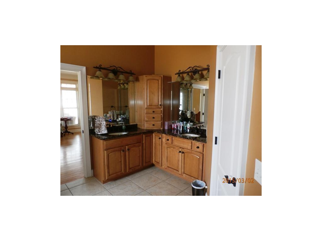 730 Ridgefield Road Elizabethton, TN 37643 - Photo 10 of 20 Master Bath