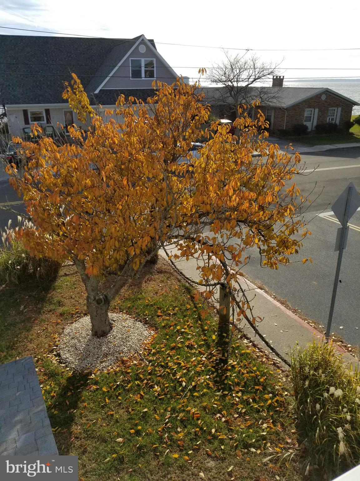10600 Point Lookout Road Ocean City, MD 21842 - Photo 41 of 89 View from bedroom 3 deck