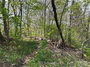 $10,000 | Saugus Avenue, Watertown, CT 06779